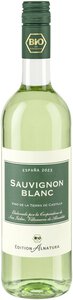 Sauvignon Blanc 