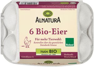 6 Bio-Eier 
