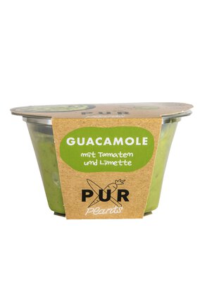 Guacamole Dip