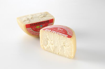 Pecorino Stagionato aus Schafsmilch 