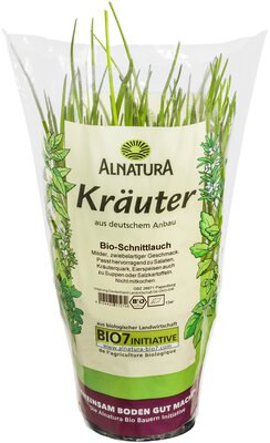 Schnittlauch im Topf