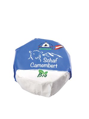 Schaf Camembert