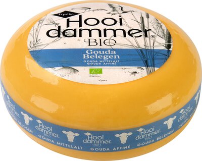 Gouda mittelalt
