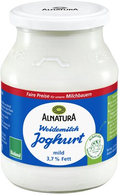 Weidemilch-Joghurt 3,7 % Fett im Mehrwegglas